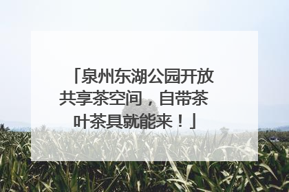泉州东湖公园开放共享茶空间，自带茶叶茶具就能来！