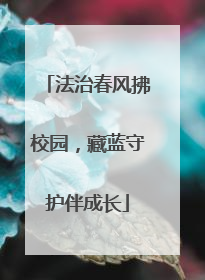 法治春风拂校园，藏蓝守护伴成长