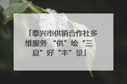 泰兴市供销合作社多维服务 “供”绘“三夏”好“丰”景