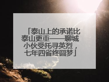 泰山上的承诺比泰山更重——聊城小伙受托寻英烈，七年四省终圆梦