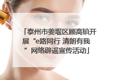 泰州市姜堰区顾高镇开展“e路同行 清朗有我”网络辟谣宣传活动