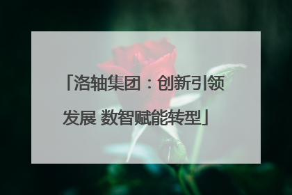 洛轴集团：创新引领发展 数智赋能转型