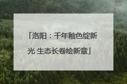 洛阳：千年釉色绽新光 生态长卷绘新章