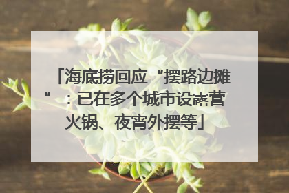 海底捞回应“摆路边摊”：已在多个城市设露营火锅、夜宵外摆等