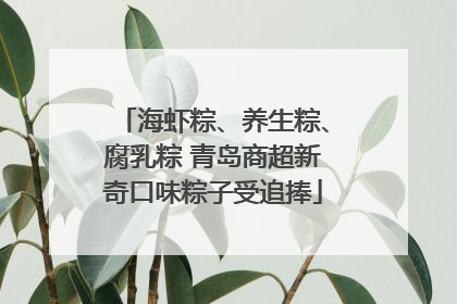 海虾粽、养生粽、腐乳粽 青岛商超新奇口味粽子受追捧