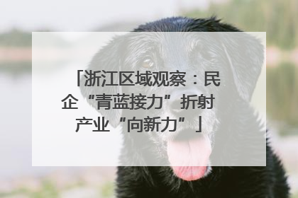 浙江区域观察：民企“青蓝接力”折射产业“向新力”