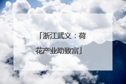 浙江武义：荷花产业助致富