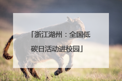 浙江湖州：全国低碳日活动进校园