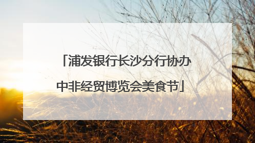 浦发银行长沙分行协办中非经贸博览会美食节