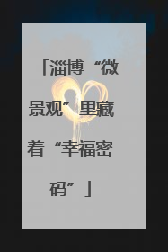 淄博“微景观”里藏着“幸福密码”