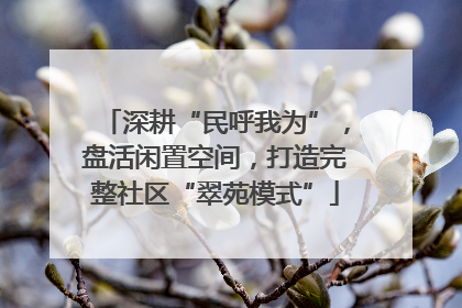 深耕“民呼我为”，盘活闲置空间，打造完整社区“翠苑模式”