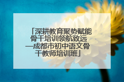 深耕教育聚势赋能 骨干培训领航致远—成都市初中语文骨干教师培训班