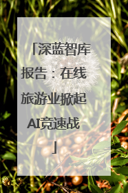 深蓝智库报告：在线旅游业掀起AI竞速战