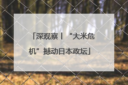 深观察丨“大米危机”撼动日本政坛