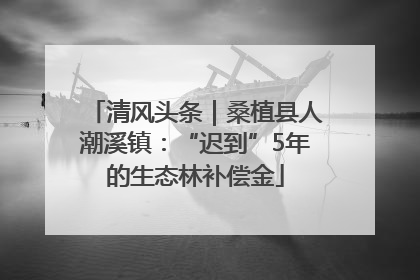 清风头条｜桑植县人潮溪镇：“迟到”5年的生态林补偿金