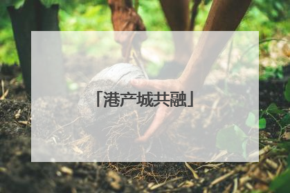 港产城共融