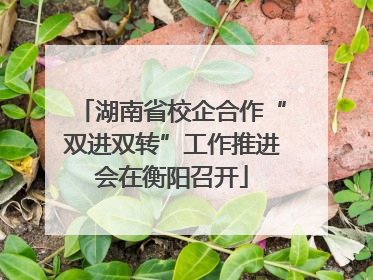 湖南省校企合作“双进双转”工作推进会在衡阳召开