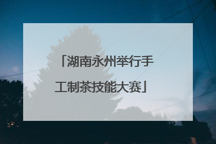 湖南永州举行手工制茶技能大赛