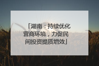 湖南：持续优化营商环境，力促民间投资提质增效