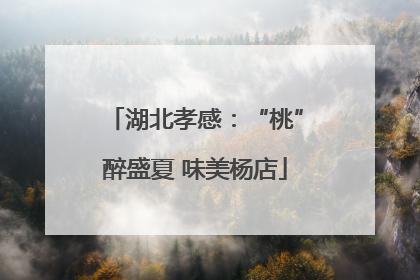 湖北孝感：“桃”醉盛夏 味美杨店
