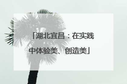湖北宜昌：在实践中体验美、创造美