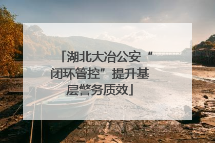 湖北大冶公安“闭环管控”提升基层警务质效