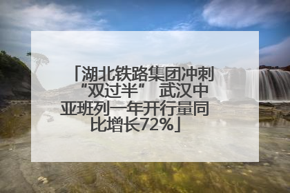 湖北铁路集团冲刺“双过半” 武汉中亚班列一年开行量同比增长72%