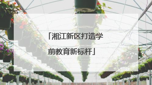 湘江新区打造学前教育新标杆