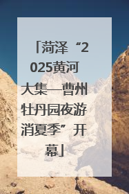 菏泽“2025黄河大集—曹州牡丹园夜游消夏季”开幕