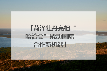 菏泽牡丹亮相“哈洽会”撬动国际合作新机遇