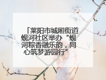 莱阳市城厢街道蚬河社区举办“蚬河粽香融乐韵，同心筑梦游园行” 主题游园会