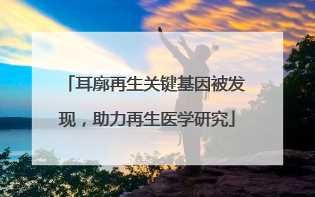 耳廓再生关键基因被发现，助力再生医学研究