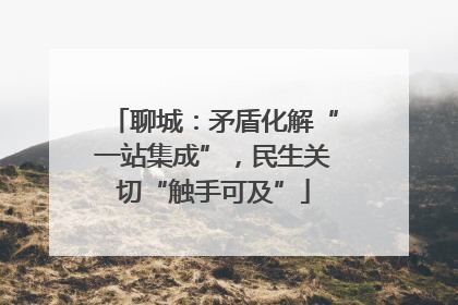 聊城：矛盾化解“一站集成”，民生关切“触手可及”
