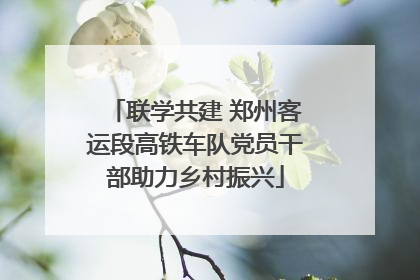 联学共建 郑州客运段高铁车队党员干部助力乡村振兴