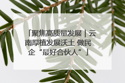 聚焦高质量发展｜云南厚植发展沃土 做民企“最好合伙人”