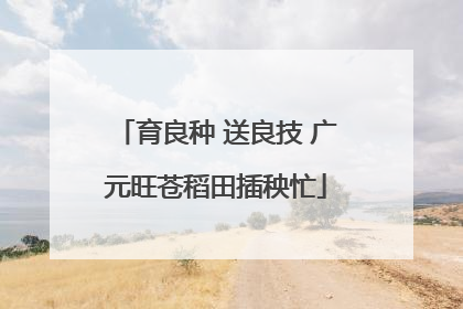 育良种 送良技 广元旺苍稻田插秧忙