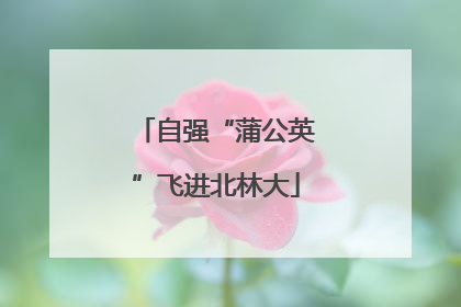 自强“蒲公英”飞进北林大
