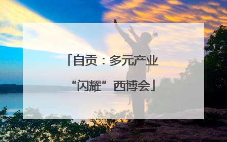 自贡：多元产业“闪耀”西博会