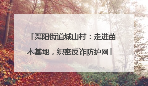 舞阳街道城山村：走进苗木基地，织密反诈防护网