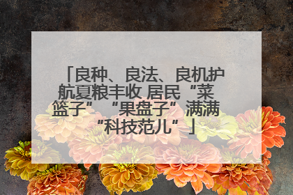 良种、良法、良机护航夏粮丰收 居民“菜篮子”“果盘子”满满“科技范儿”