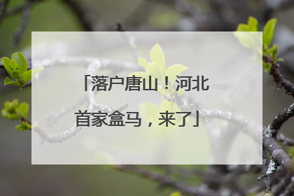 落户唐山！河北首家盒马，来了