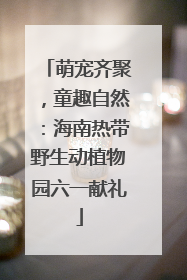 萌宠齐聚，童趣自然：海南热带野生动植物园六一献礼