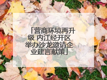 营商环境再升级 内江经开区举办沙龙邀请企业建言献策