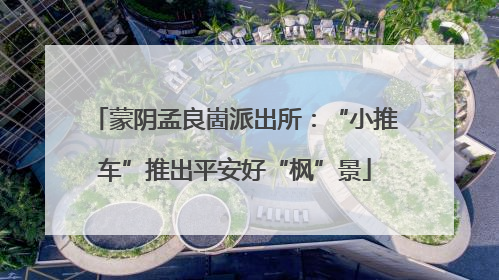 蒙阴孟良崮派出所：“小推车”推出平安好“枫”景