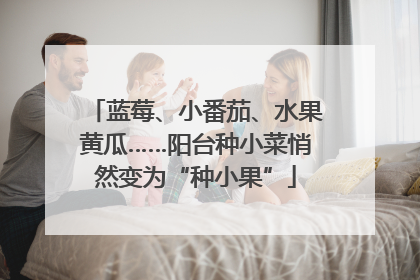 蓝莓、小番茄、水果黄瓜……阳台种小菜悄然变为“种小果”