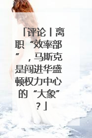评论丨离职“效率部”，马斯克是闯进华盛顿权力中心的“大象”？