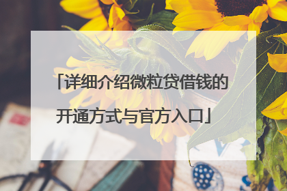 详细介绍微粒贷借钱的开通方式与官方入口