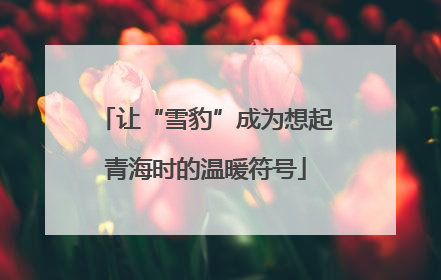让“雪豹”成为想起青海时的温暖符号
