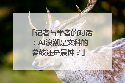 记者与学者的对话：AI浪潮是文科的暮鼓还是晨钟？