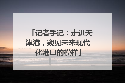 记者手记：走进天津港，窥见未来现代化港口的模样